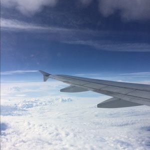 Meet your Posher, Lizbeth